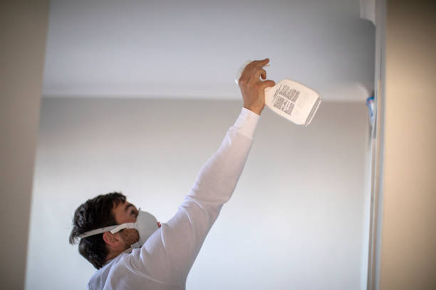 Best Mold Inspection  in Covington, LA