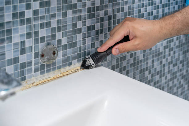 Best Black Mold Removal  in Covington, LA